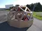 carousel chooser