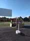 carousel chooser